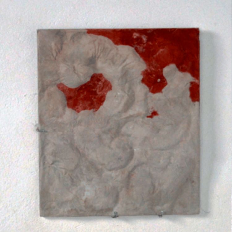 serie-naturaleza